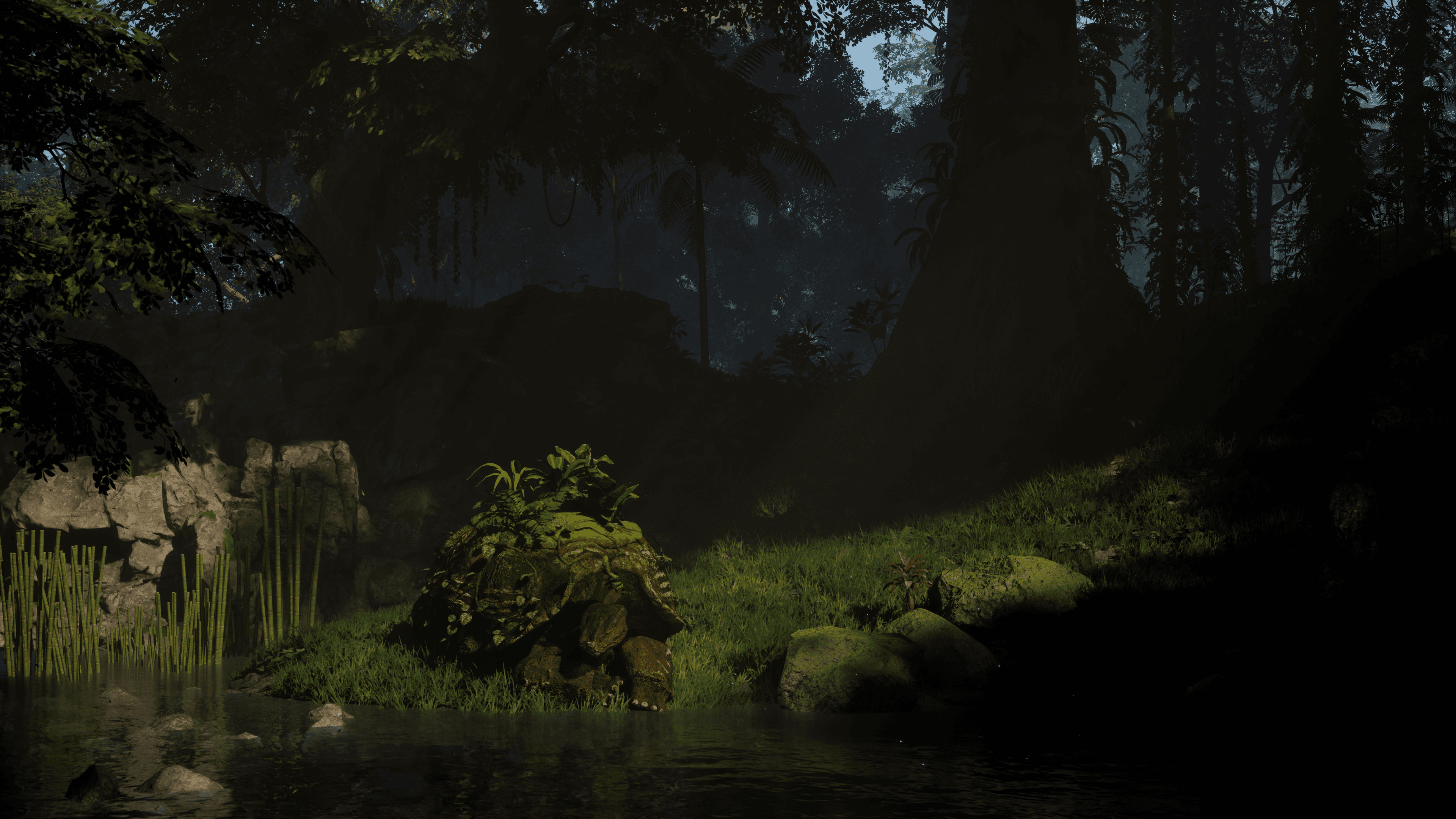 Early Access image (enhanced in post production)