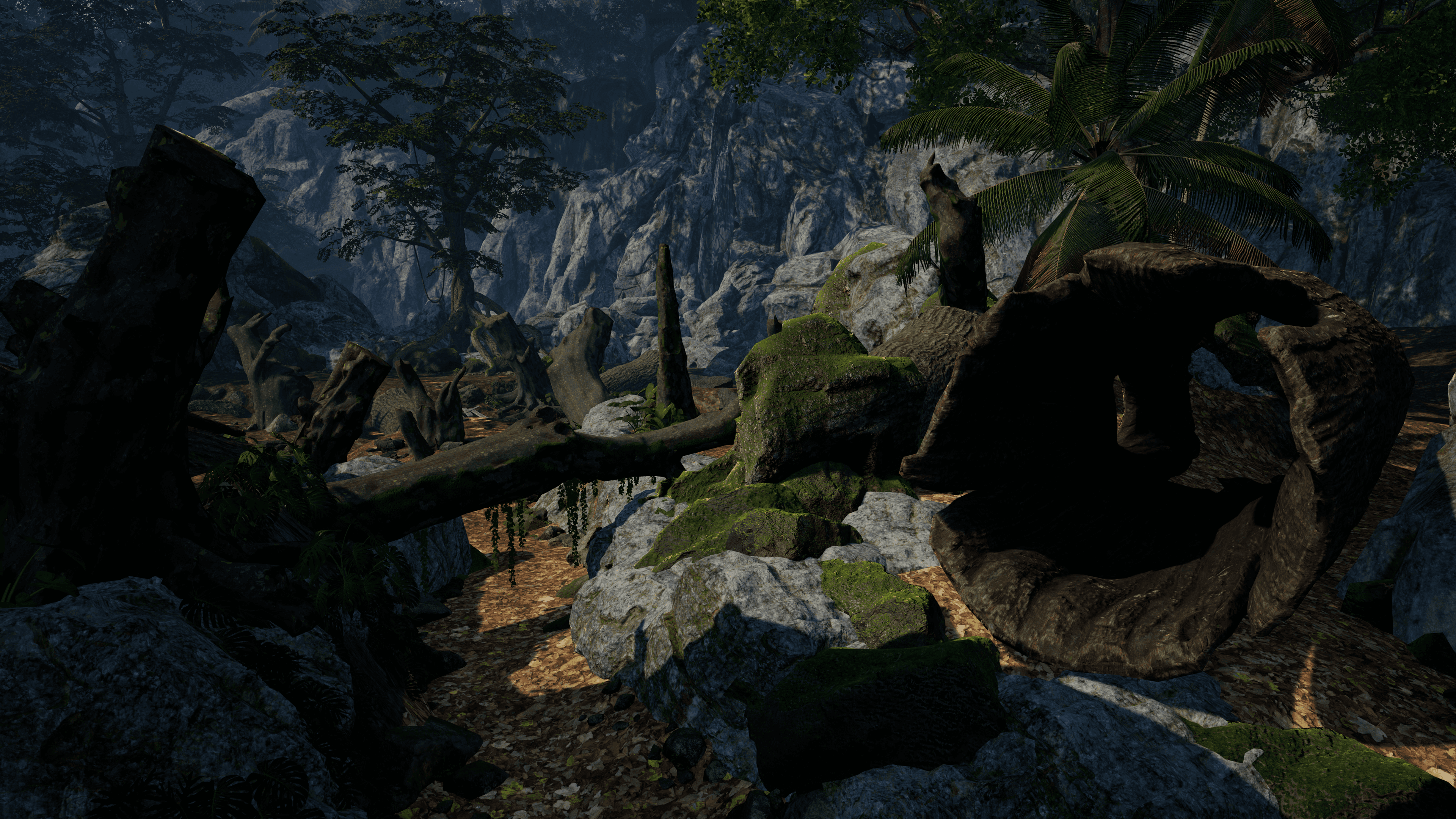 Early Access image (enhanced in post production)